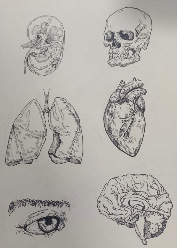 图片 6